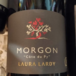Côte du Py - Domaine Laura Lardy - laura-lardy