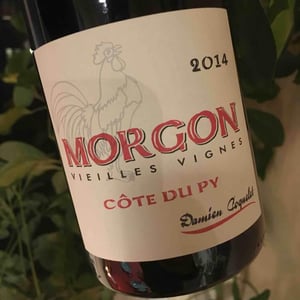 Morgon Côtes du Py Vieilles Vignes - Damien Coquelet - damien-coquelet