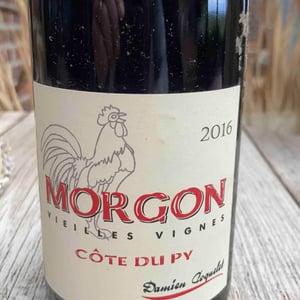 Morgon Côtes du Py Vieilles Vignes - Damien Coquelet - damien-coquelet