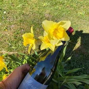 Jean Foillard - Jean Foillard - Morgon "Cuvée Corcelette"