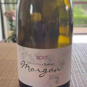 Domaine Marcel Lapierre - Mathieu & Camille Lapierre - Morgon