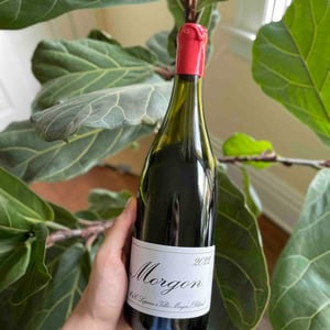 Morgon - Domaine Marcel Lapierre - mathieu-camille-lapierre