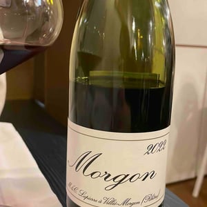 Morgon - Domaine Marcel Lapierre - mathieu-camille-lapierre