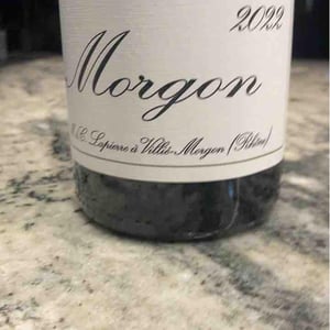 Morgon - Domaine Marcel Lapierre - mathieu-camille-lapierre