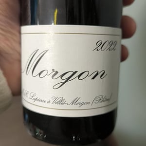 Morgon - Domaine Marcel Lapierre - Mathieu & Camille Lapierre 