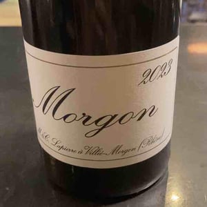 Morgon - Domaine Marcel Lapierre - mathieu-camille-lapierre