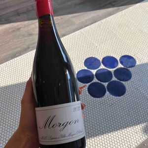Morgon - Domaine Marcel Lapierre - Mathieu & Camille Lapierre 
