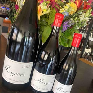 Morgon - Domaine Marcel Lapierre - Mathieu & Camille Lapierre 