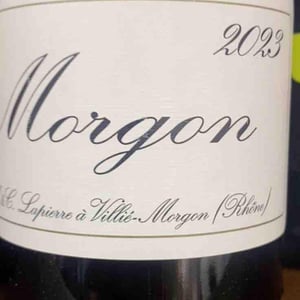 Morgon - Domaine Marcel Lapierre - mathieu-camille-lapierre