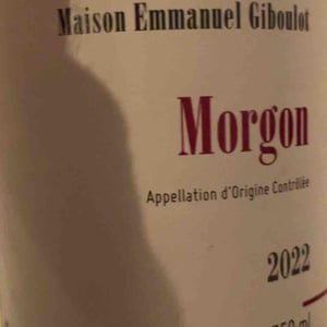 Morgon - Domaine Emmanuel Giboulot - Emmanuel Giboulot 