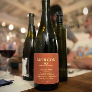 Morgon Iron - Les Bertrand - Guy, Annick & Yann Bertrand -2022