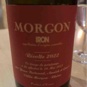 Morgon Iron - Les Bertrand - guy-annick-yann-bertrand -2022