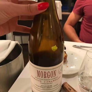 Morgon Le Clos de Lys - Domaine Chamonard - Jean-Claude, Jeanne & Geneviève Chanudet 
