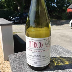 Morgon Le Clos de Lys - Domaine Chamonard - jean-claude-jeanne-genevieve-chanudet