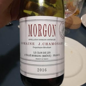 Morgon Le Clos de Lys 2016