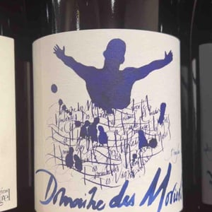 Morgon Les Charmes - Des Moriers - domaine-des-moriers -2020