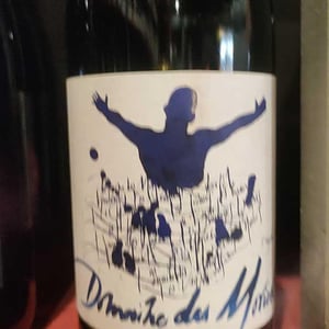 Morgon Les Charmes - Des Moriers - domaine-des-moriers -2020