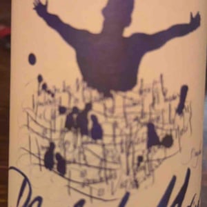 Morgon Les Charmes - Des Moriers - Domaine Des Moriers -2020