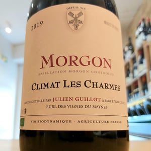 Climat Les Charmes - Clos des Vignes du Maynes - julien-guillot