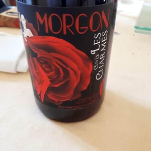 Jean Foillard - Jean Foillard - Morgon Les Charmes