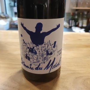 Morgon Les Charmes - Des Moriers - domaine-des-moriers -2020