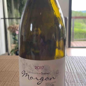 Morgon - Antoine Sunier - Antoine Sunier 