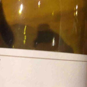 Jean Foillard - Jean Foillard - Morgon