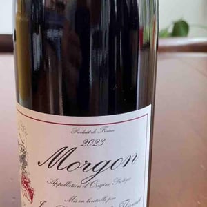 Morgon - Jean-Paul Thévenet - jean-paul-thevenet