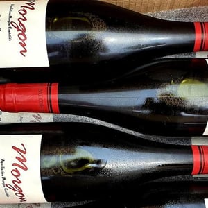 Morgon Vieilles Vignes - Georges Descombes - georges-descombes