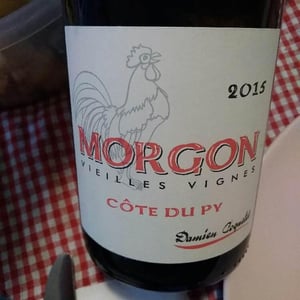 Morgon Vieilles Vignes - Damien Coquelet - Damien Coquelet 