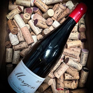 Morgon - Domaine Marcel Lapierre - Mathieu & Camille Lapierre 