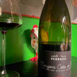 Morgon - Côtes de la Molière - Isabelle & Bruno Perraud 