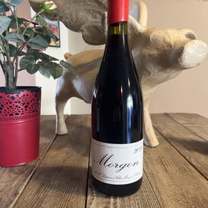 Morgon2021 - Domaine Marcel Lapierre - mathieu-camille-lapierre -2021