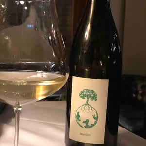 Weingut Werlitsch - Ewald & Brigitte Tscheppe - Morillon vom Opok