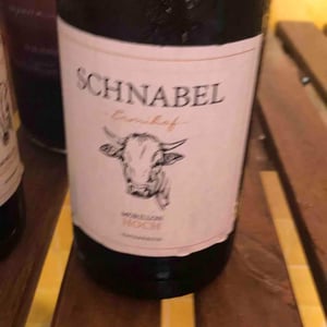 Morillon Hoch - Weingut Karl Schnabel - karl-eva-schnabel
