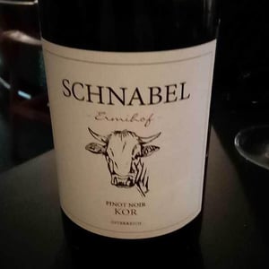 Weingut Karl Schnabel - Karl & Eva Schnabel - Morillon Hoch