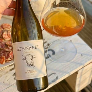 Morillon Hochegg - Weingut Karl Schnabel - Karl & Eva Schnabel 