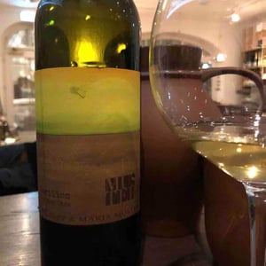 Morillon vom Opok - Weingut Muster - maria-sepp-muster