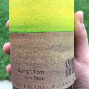 Morillon vom Opok - Weingut Muster - maria-sepp-muster