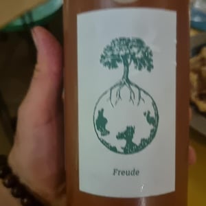 Morillon vom Opok - Weingut Werlitsch - Ewald & Brigitte Tscheppe 