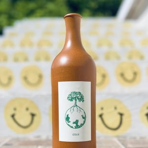 Morillon vom Opok - Weingut Werlitsch - Ewald & Brigitte Tscheppe -2020