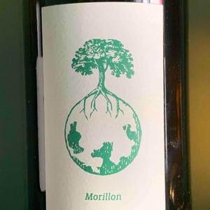Morillon vom Opok - Weingut Werlitsch - Ewald & Brigitte Tscheppe