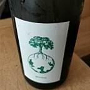 Weingut Werlitsch - Ewald & Brigitte Tscheppe - Morillon vom Opok