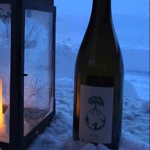Morillon vom Opok - Weingut Werlitsch - ewald-brigitte-tscheppe