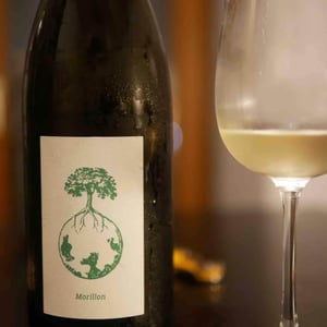 Weingut Werlitsch - Ewald & Brigitte Tscheppe - Morillon vom Opok