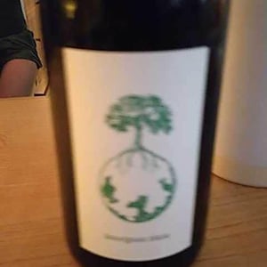 Weingut Werlitsch - Ewald & Brigitte Tscheppe - Morillon vom Opok