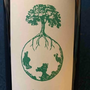 Weingut Werlitsch - Ewald & Brigitte Tscheppe - Morillon vom Opok