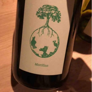 Weingut Werlitsch - Ewald & Brigitte Tscheppe - Morillon vom Opok