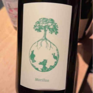 Weingut Werlitsch - Ewald & Brigitte Tscheppe - Morillon vom Opok