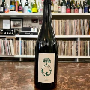 Morillon vom Opok - Weingut Werlitsch - Ewald & Brigitte Tscheppe 